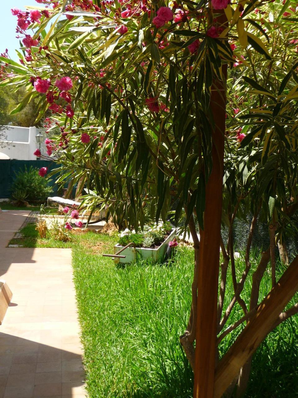 Apartamentos Osa Menor Cala D´Or エクステリア 写真